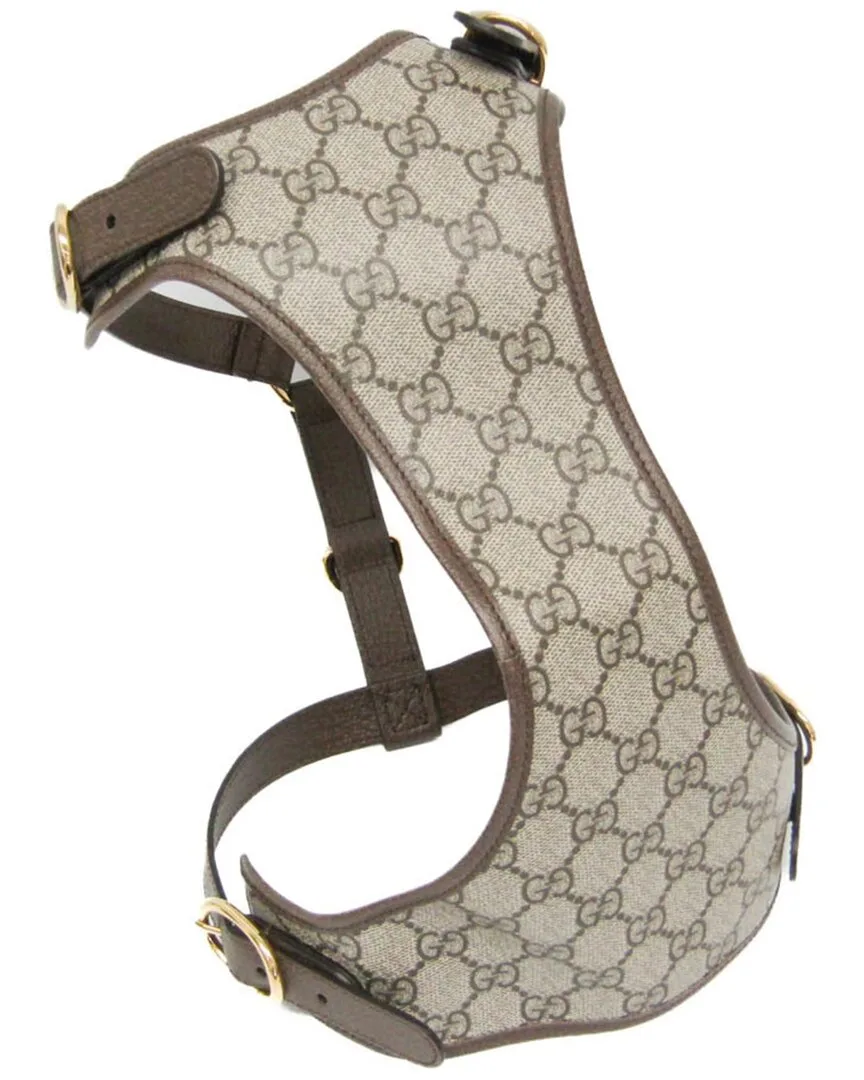 Harness by Gucci