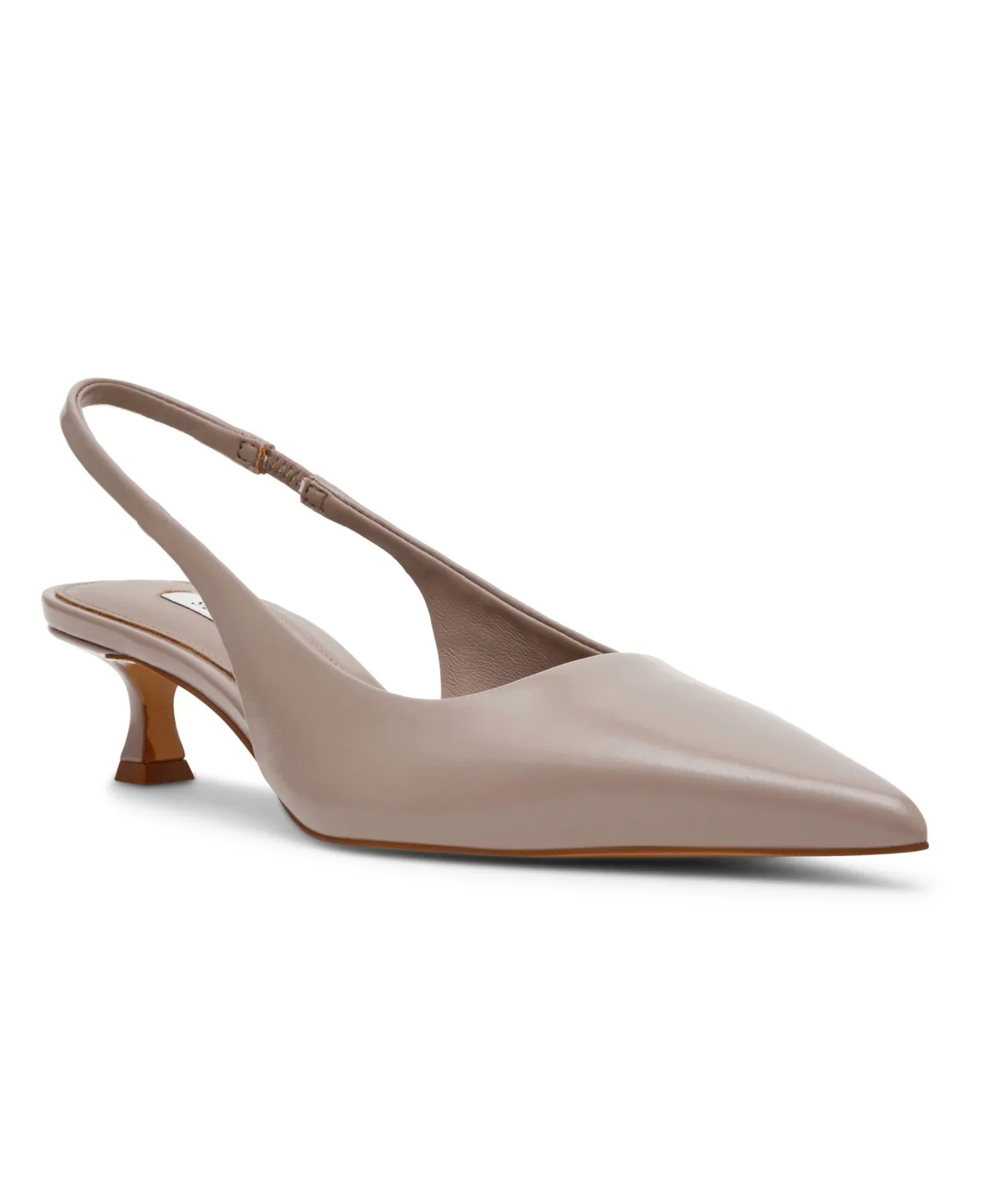 Kathy Slingback Kitten Heel Pointed Toe Pumps by Steve Madden