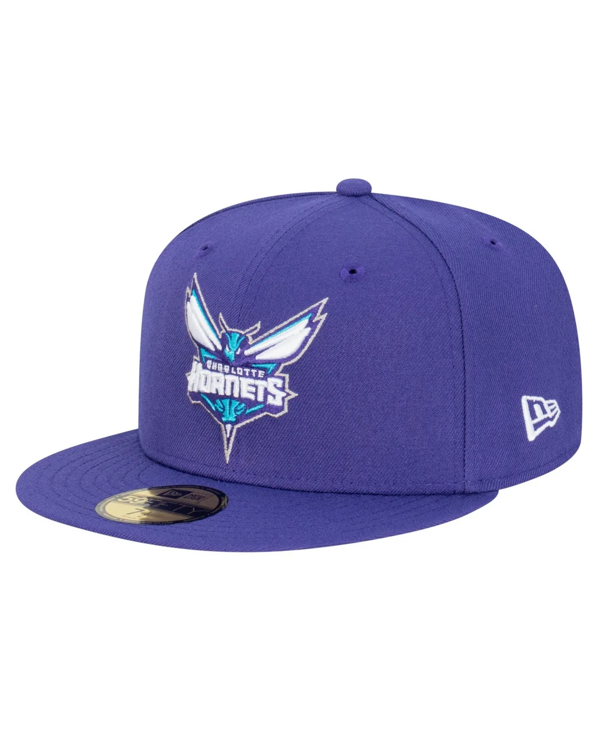 Charlotte Hornets Team 59FIFTY Fitted Hat by New Era