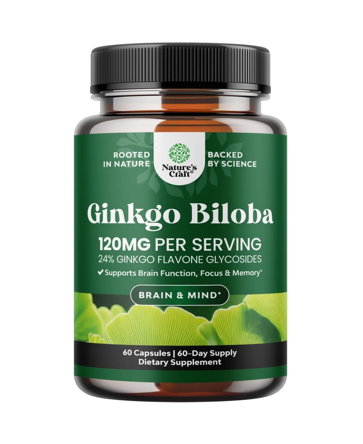 Ginkgo Biloba Capsules, 120mg Per Serving, Standardized Ginkgo Leaf Extract, Herbal Supplement, 60 Count by Natures Craft