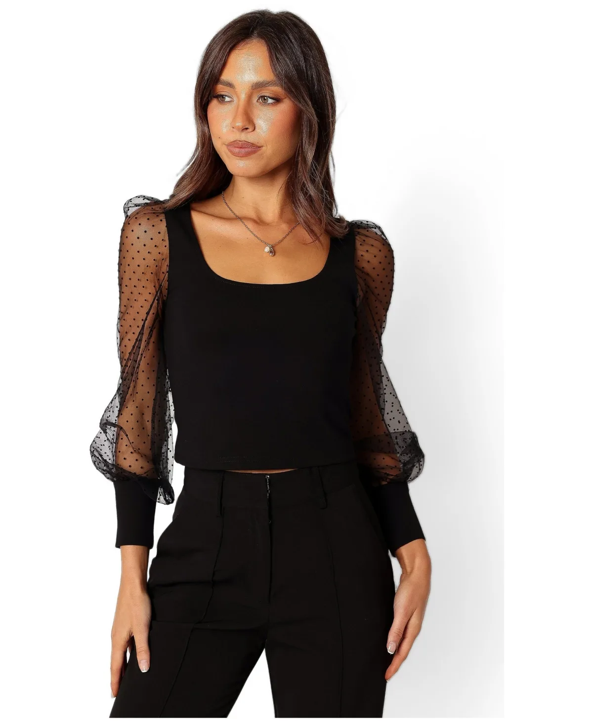 Wesson Sheer Sleeve Top by Petal and Pup