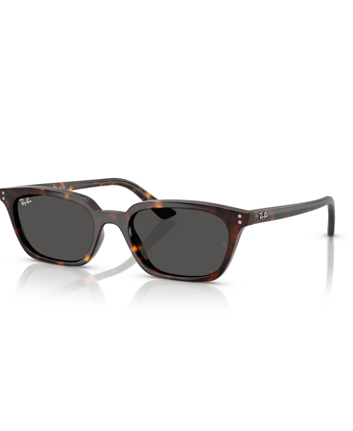 Zaya Polarized Sunglasses RB4456 by Ray-Ban