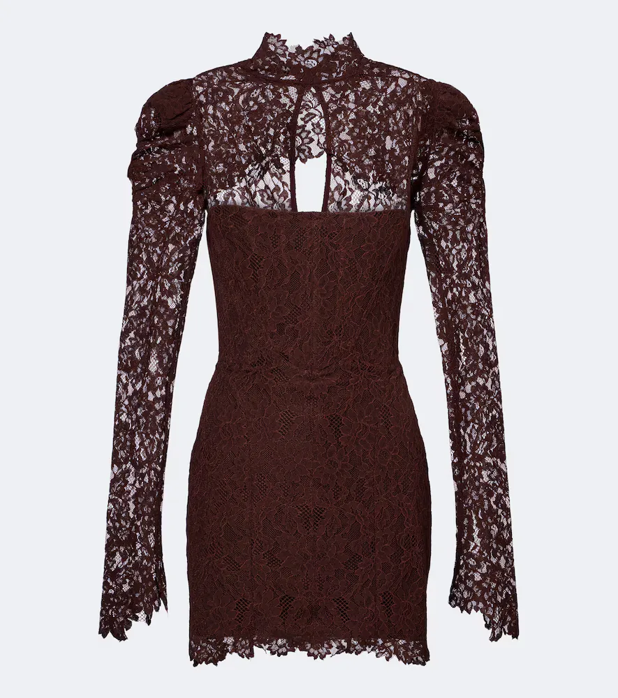 Viresco Lace Cotton-Blend Corset Dress by De La Vali