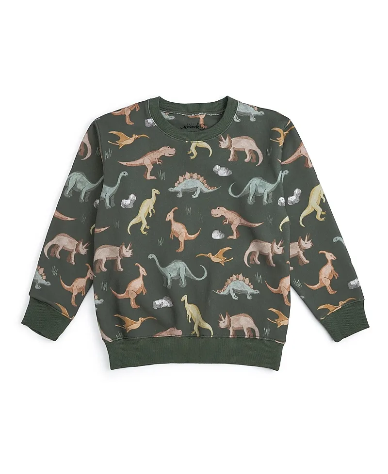 Dinosaurs Rock Sweatshirt by Sweet Wink