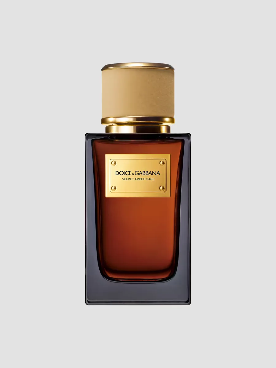Velvet Amber Sage Eau De Parfum by Dolce & Gabbana