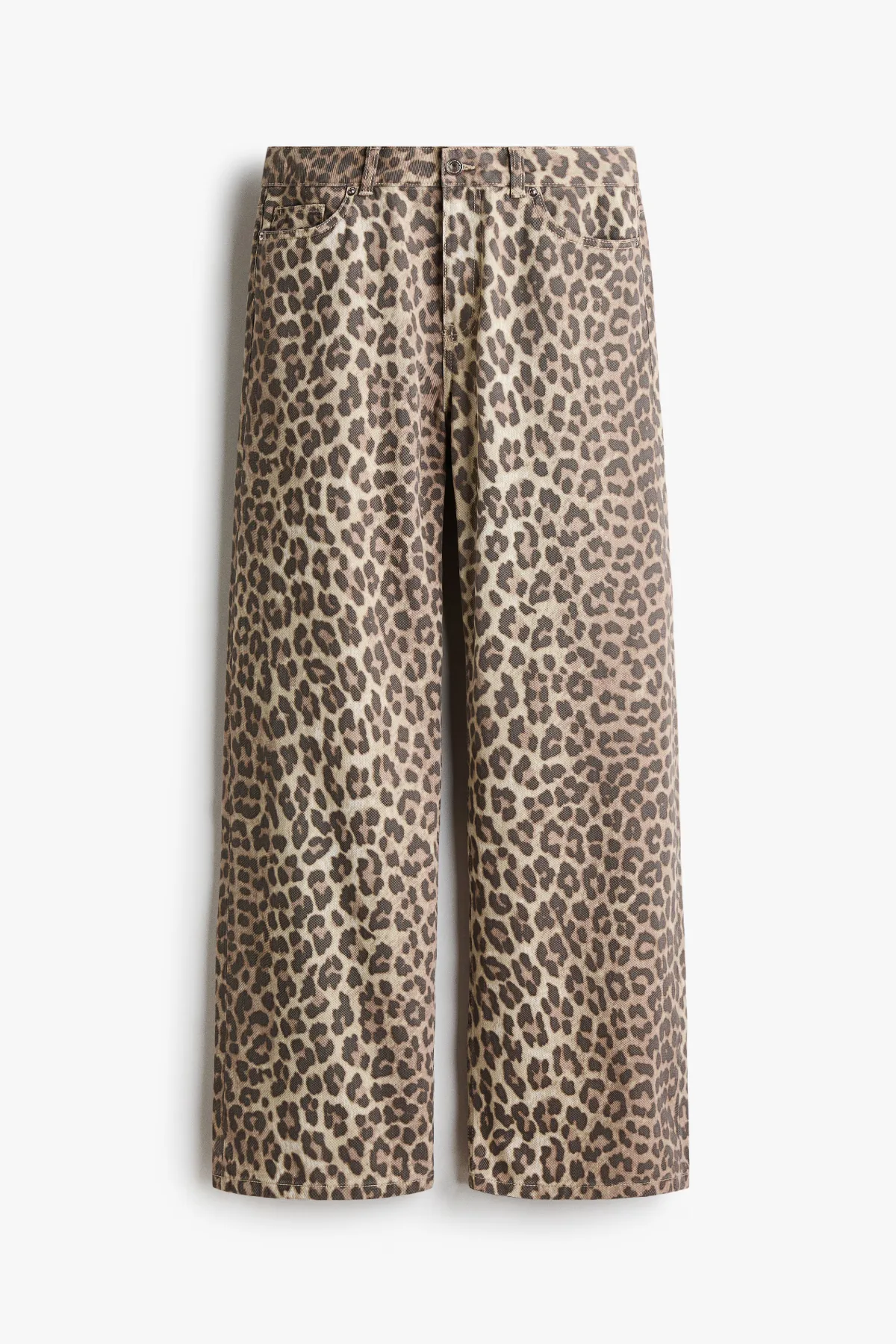 Baggy Cotton Twill Pants by H&M