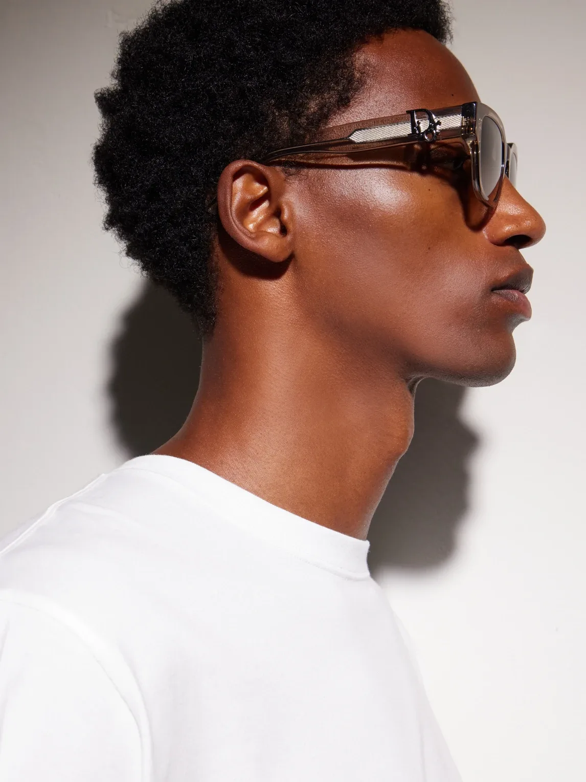 Dior Oblique S1I Square-Frame Acetate Sunglasses by Dior