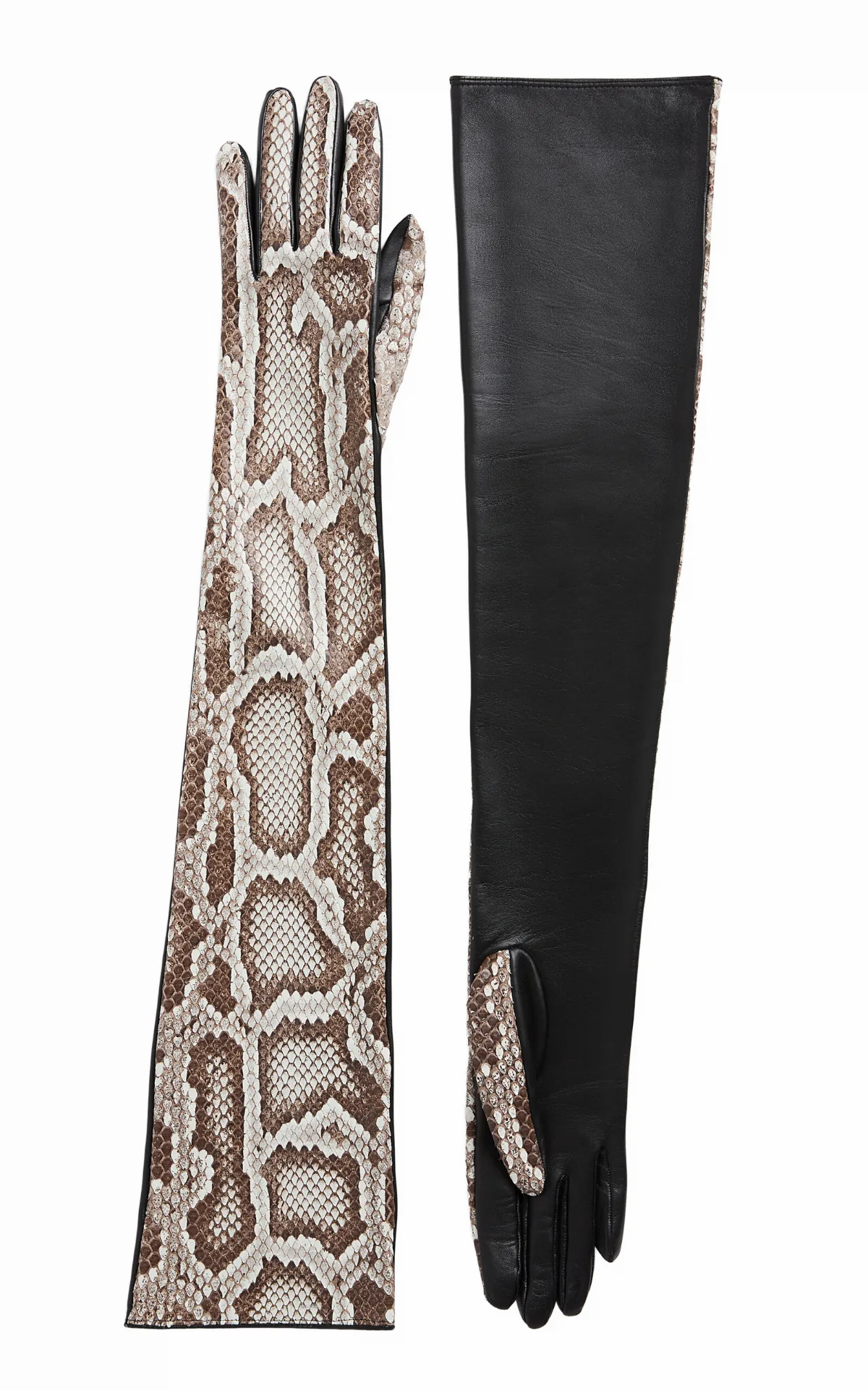 Remo Python Long Gloves by Khaite