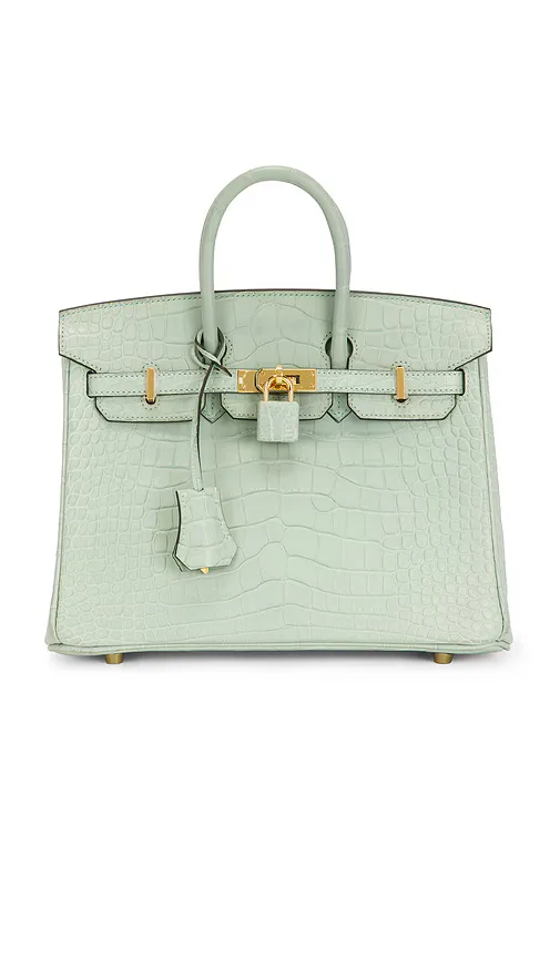 Hermes Matte Alligator Birkin 25 Handbag by Fwrd Renew