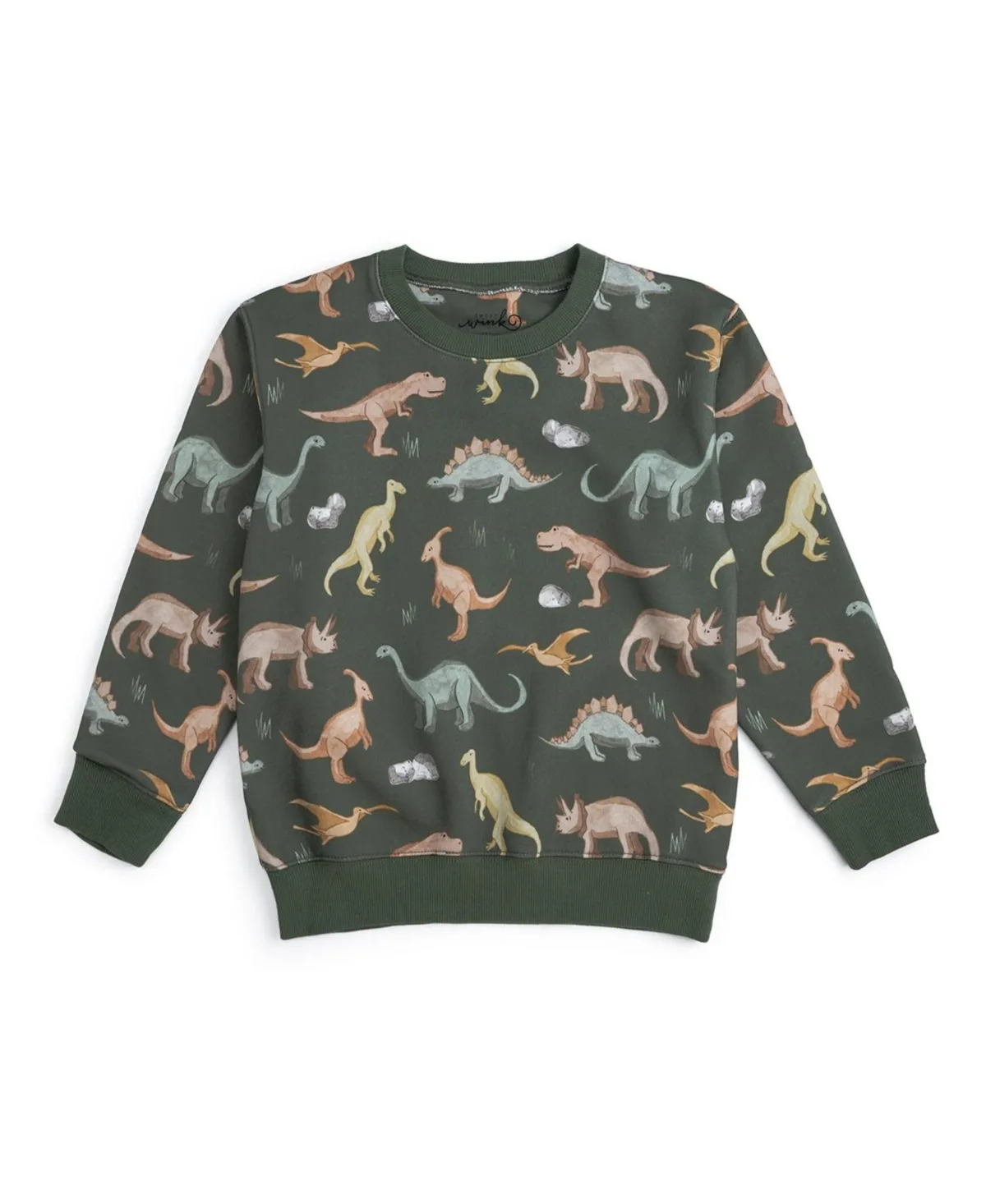 Dinosaurs Rock Sweatshirt by Sweet Wink