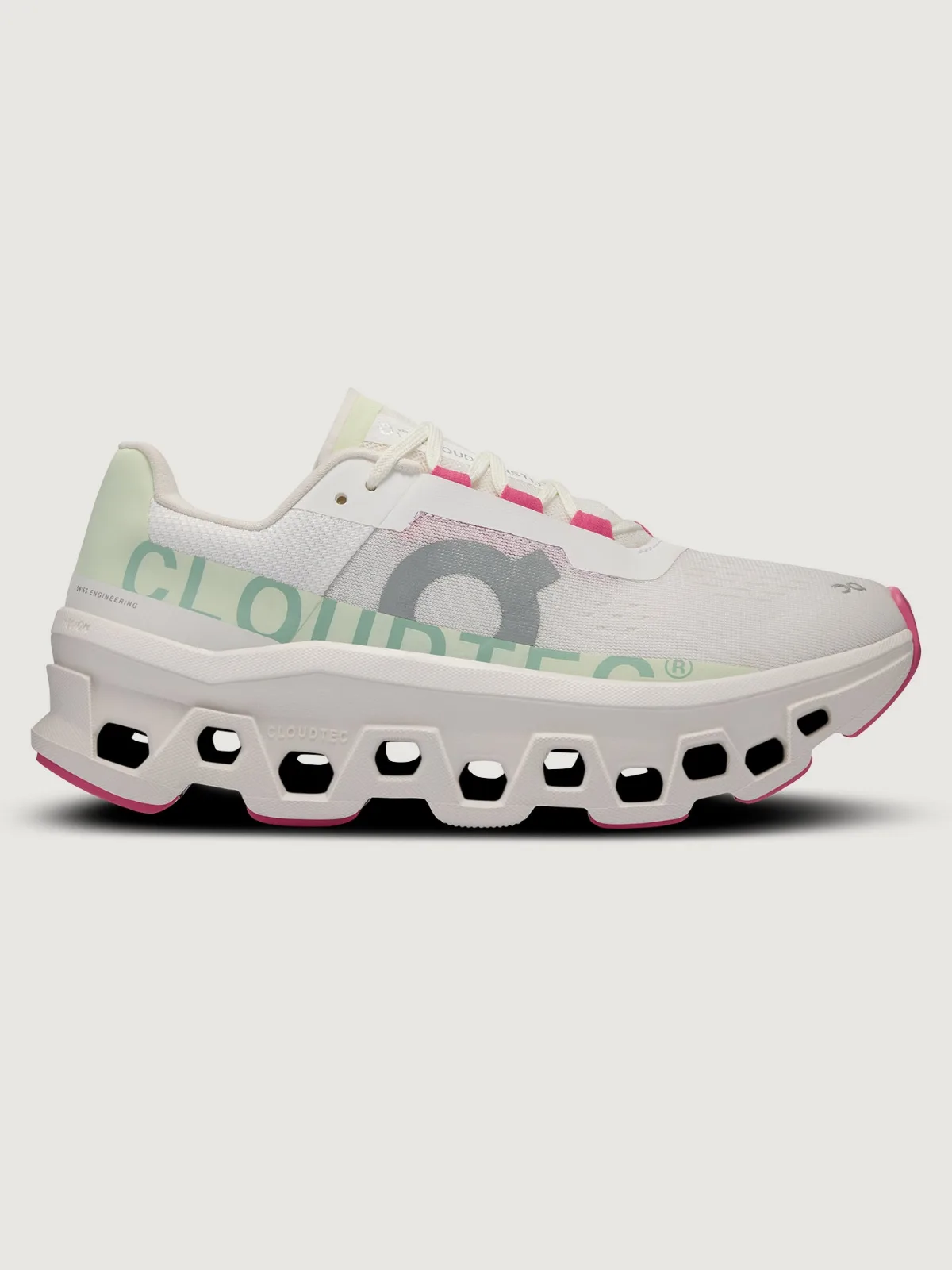 On Cloudmonster by On
