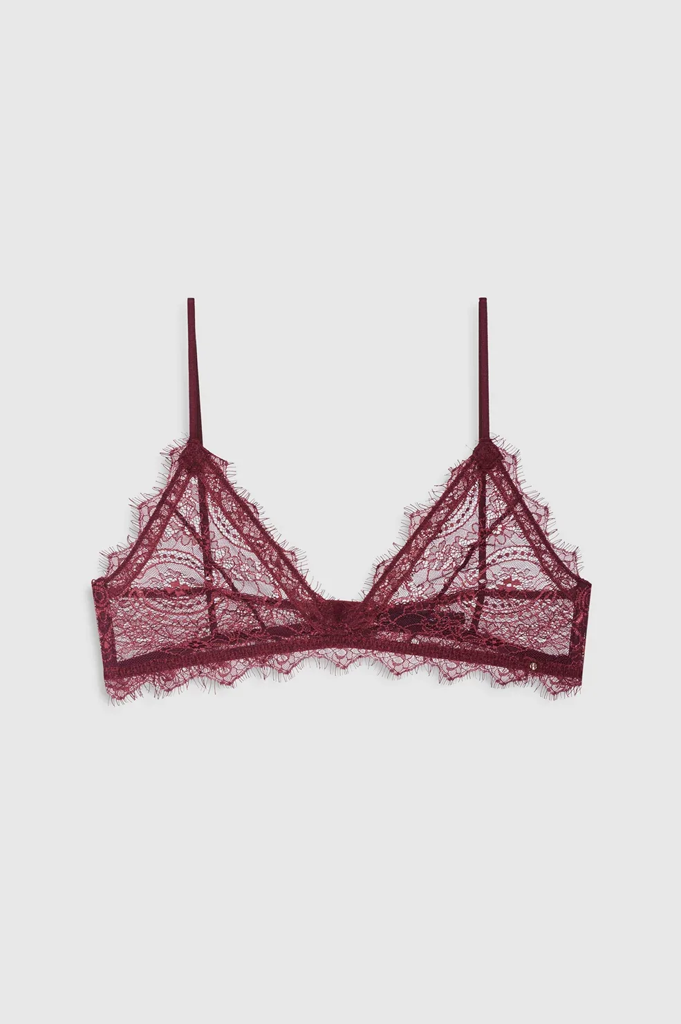 Lace Bra with Trim
