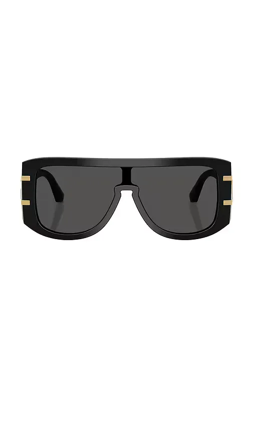 Shield Sunglasses