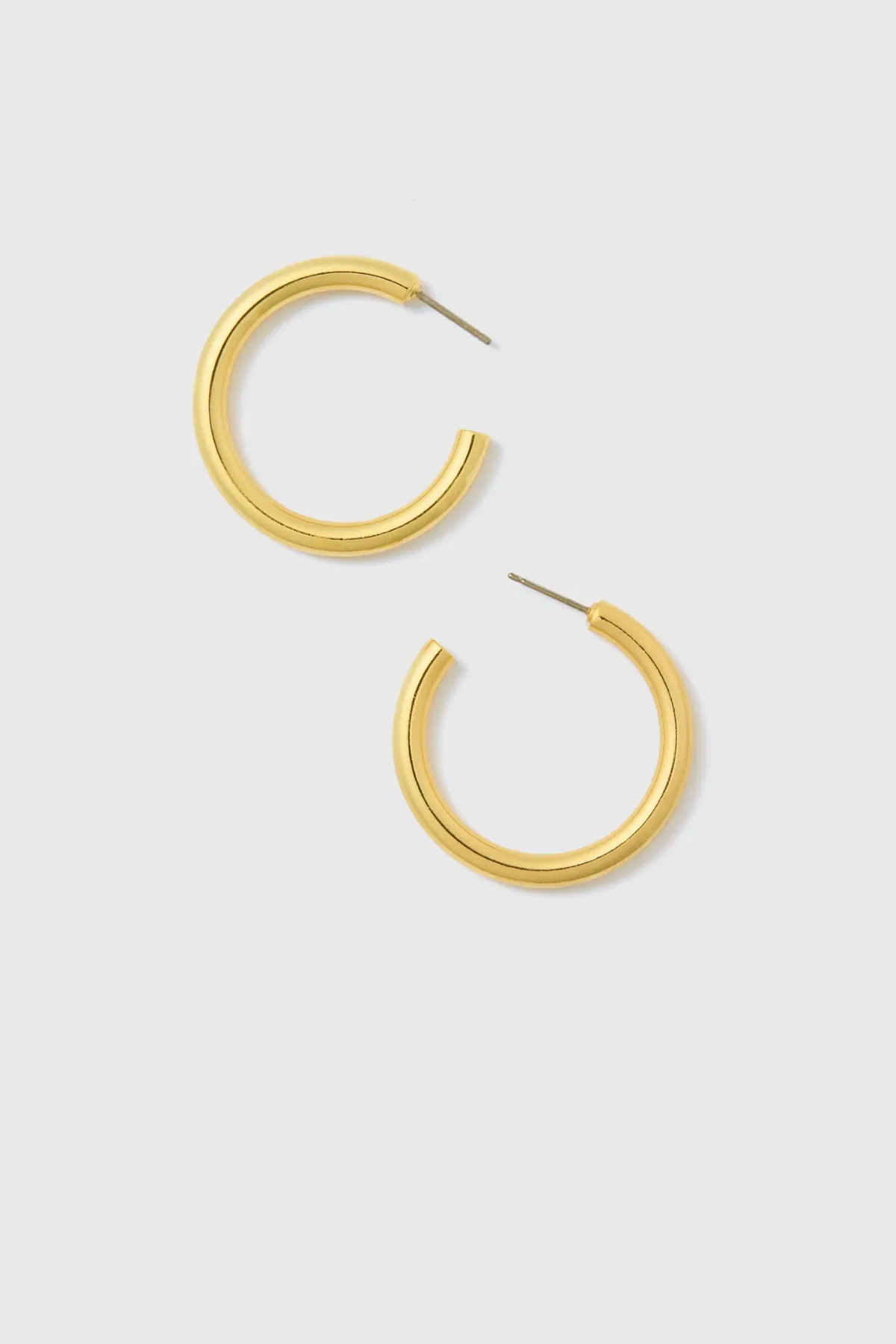 Gold Thick Hoop Earrings by Tuckernuck Jewelry