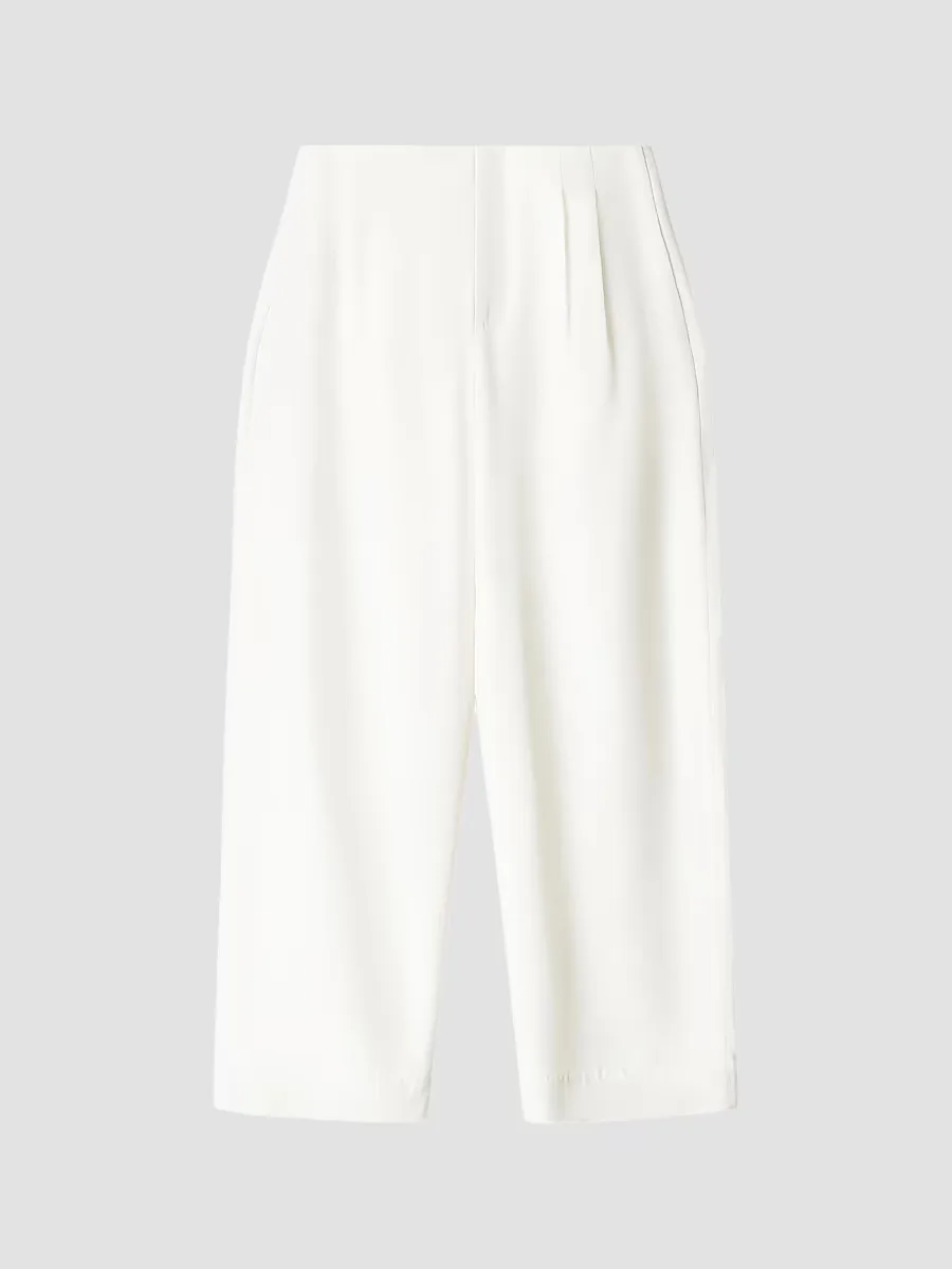 Pierre Pleated Wool-Silk Wide-Leg Pants
