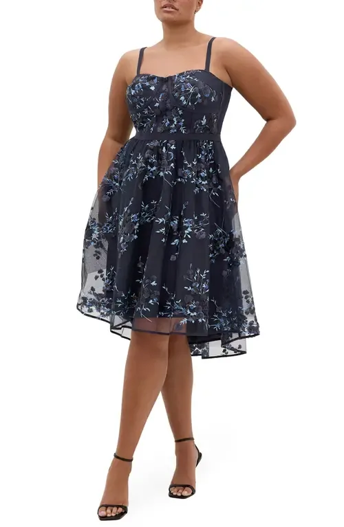 Ambrosia Lace Fit & Flare Dress
