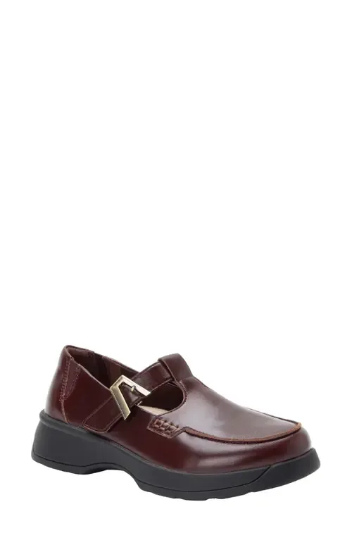 Jensie Mary Jane Shoe in 6714 Glazed Chocolate by Alegria by PG Lite