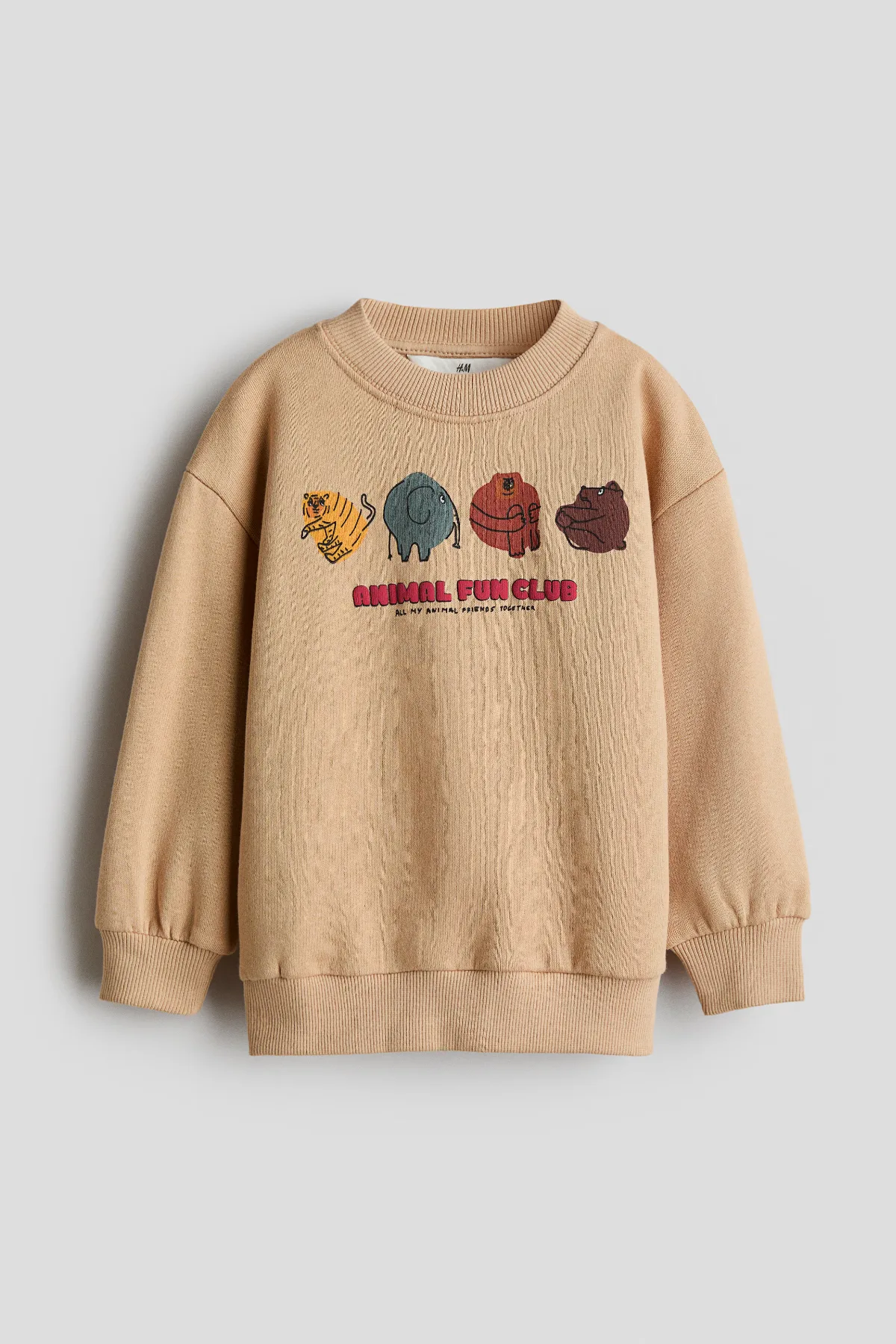 Brushed-Inside Sweatshirt with Printed Motif by H&M