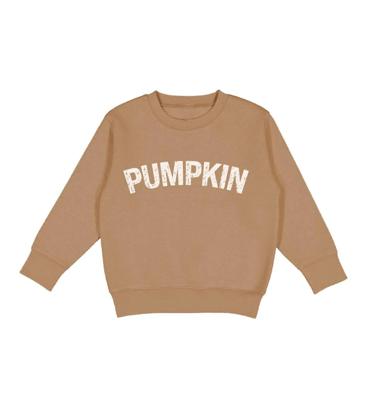 Pumpkin Sweatshirt by Sweet Wink