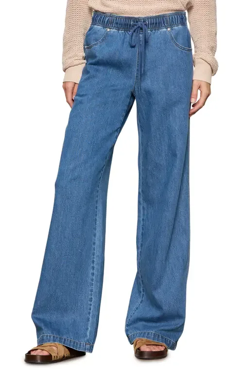 All Aboard Cotton & Linen Pants by Sanctuary