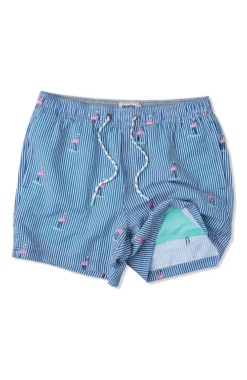 Embroidered Stripe Party Starter 5-Inch Swim Trunks