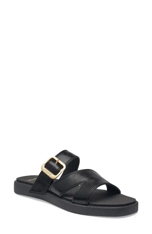 Cove Two-Strap Sandal by Sanuk