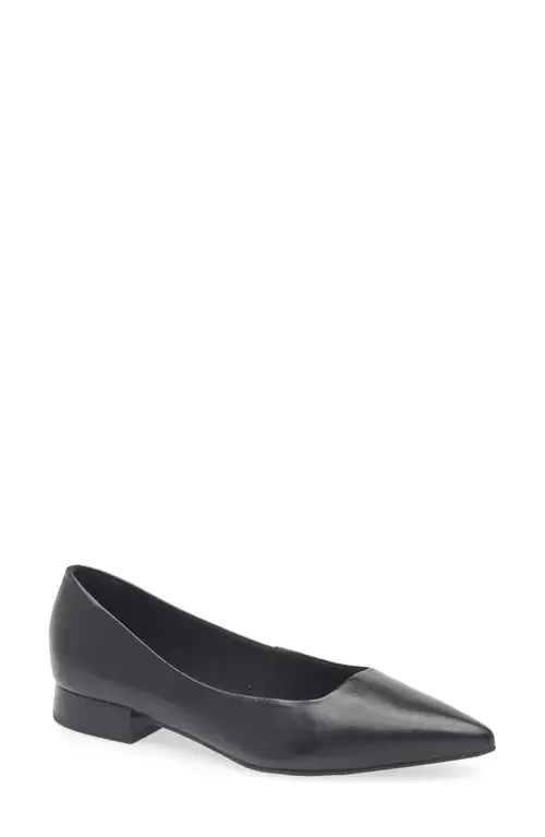 Alessandra Pointed Toe Ballet Flat by Bottero