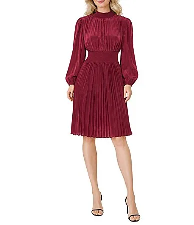 Long Sleeve Pleated Dress