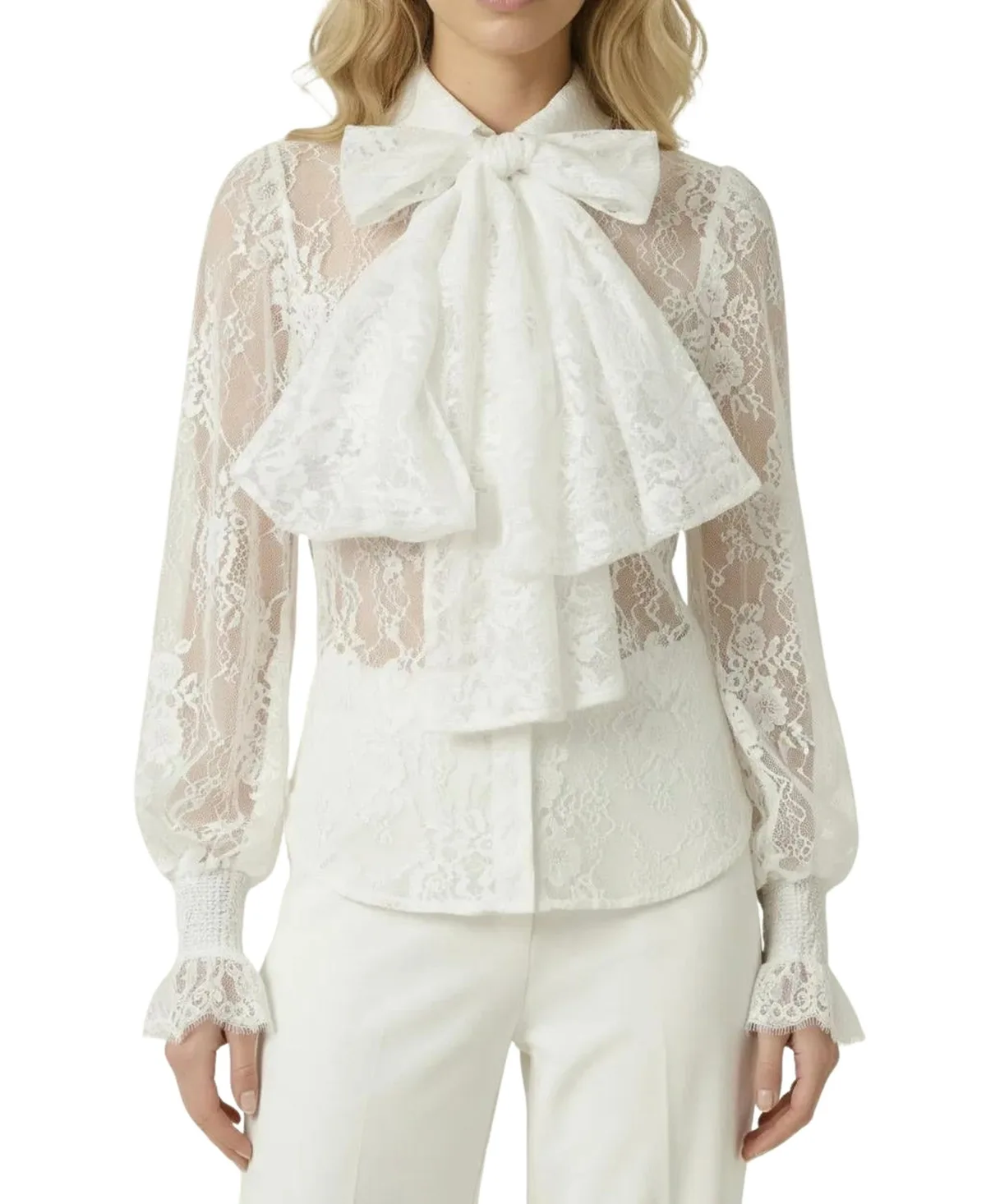 Sheer Floral-Print Long-Sleeve Lace Blouse by Modenaire