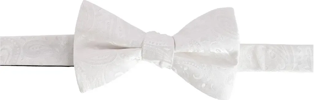 Banbury Tone on Tone Paisley Silk Bow Tie by Trafalgar