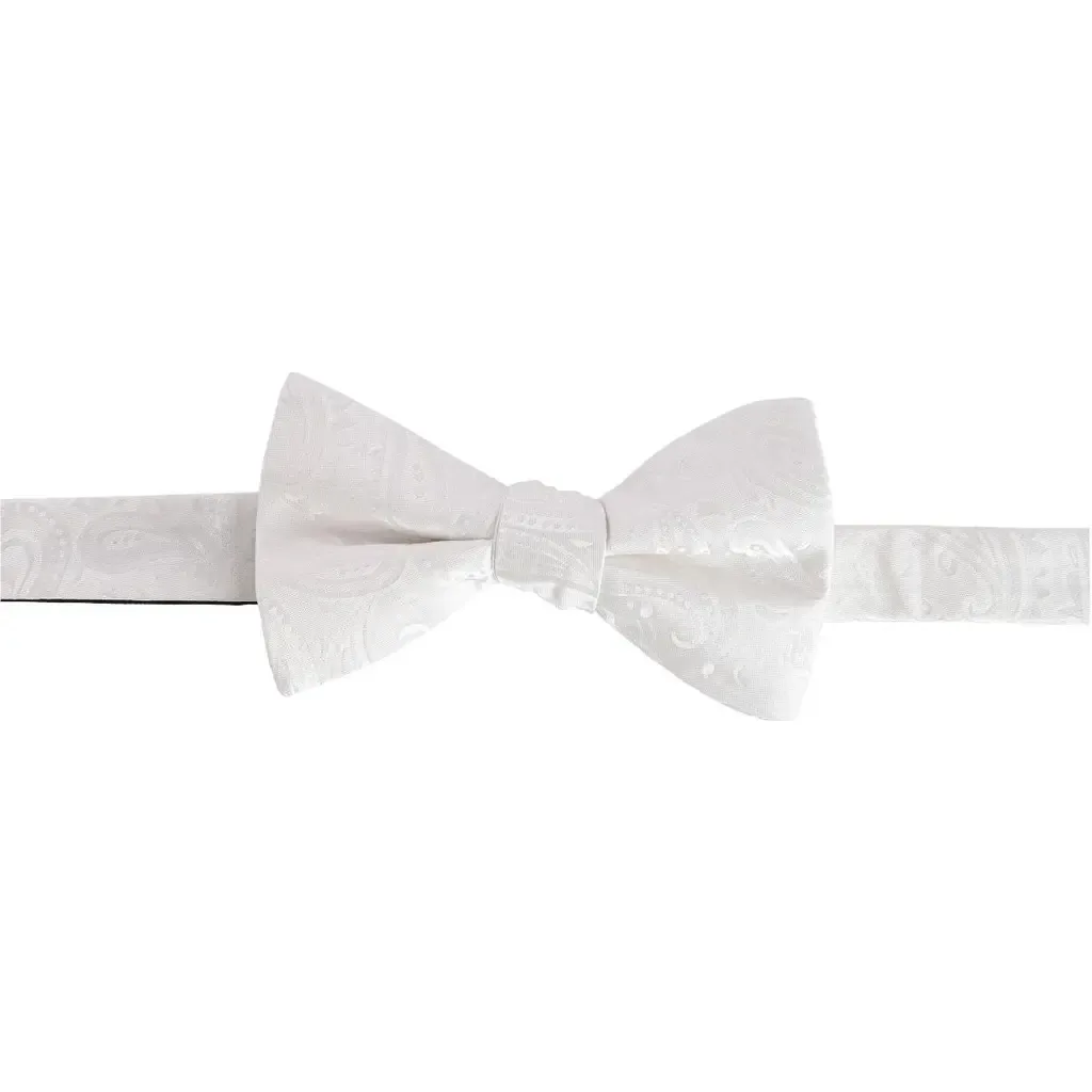Banbury Tone on Tone Paisley Silk Bow Tie by Trafalgar