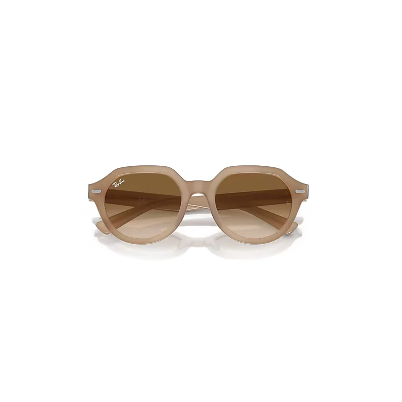 Gina Sunglasses Turtledove Frame Brown Lenses by Ray-Ban