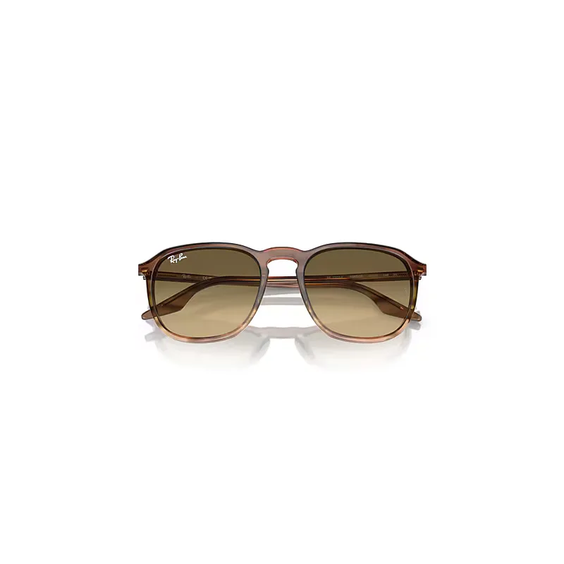 Rb2203 Sunglasses Striped Brown Frame Brown Lenses by Ray-Ban