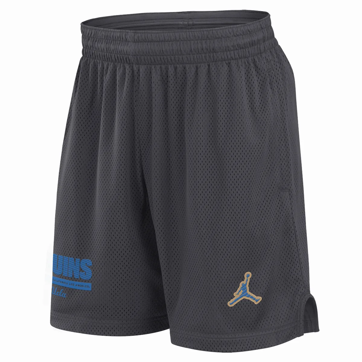 UCLA Sideline Jordan Brand Dri-FIT College Shorts by Jordan