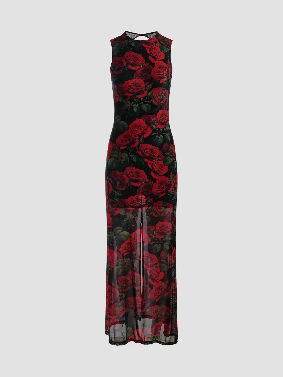 Delora Floral Maxi Dress