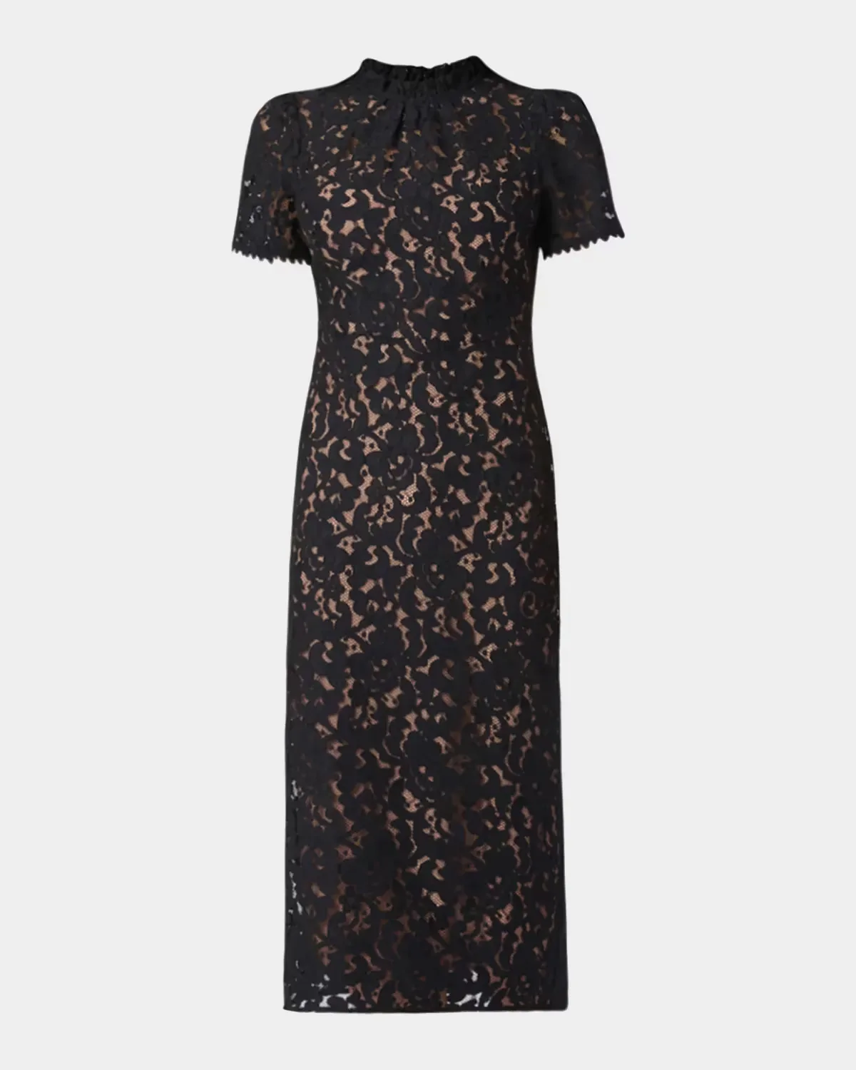 Hudson Corded Lace Column Midi Dress by Shoshanna