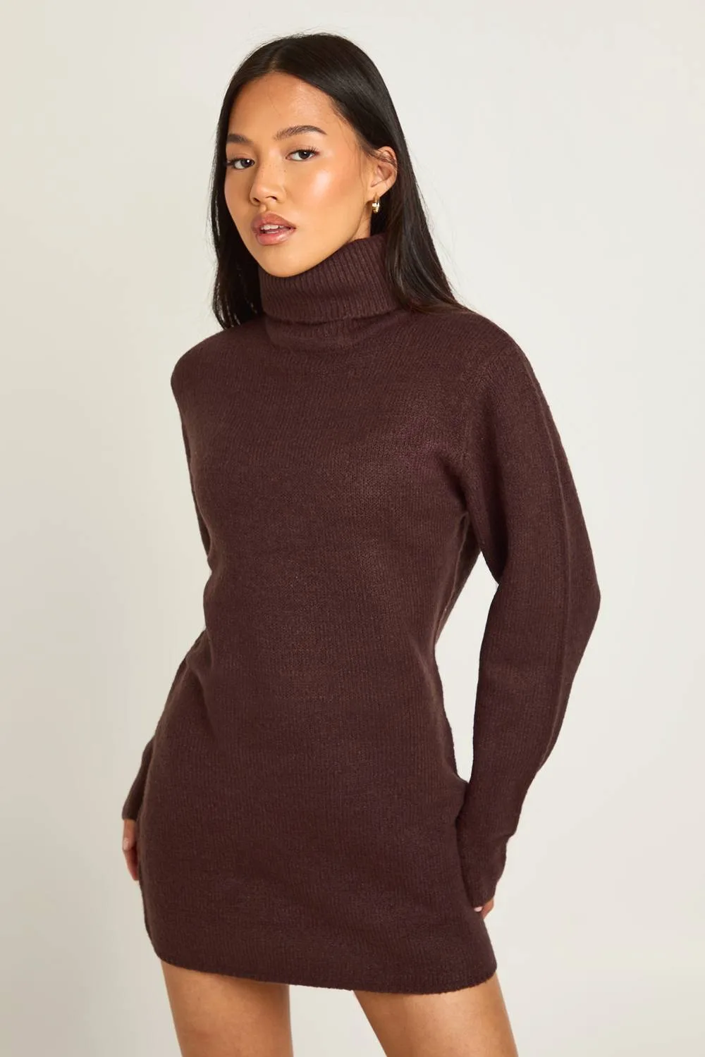 Roll Neck Chunky Knit Mini Dress
