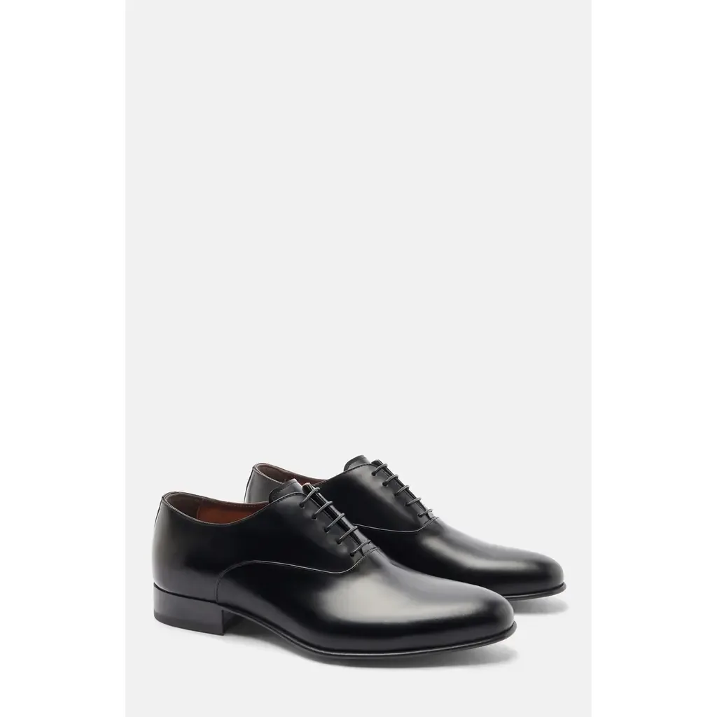 Ballo Oxfords by SCAROSSO