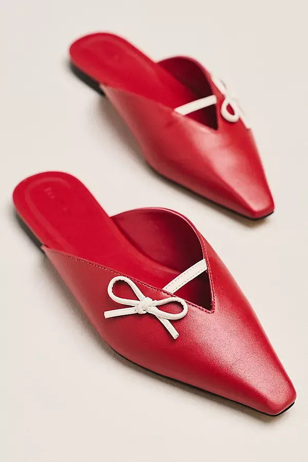 Pointed Toe Mules