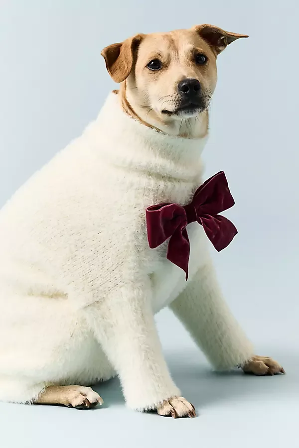 Anthropologie x Furb Eyelash Pet Sweater by FURB