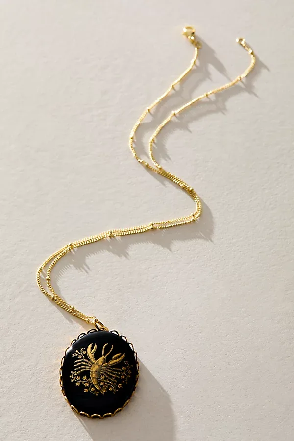 Jules Onyx Zodiac Necklace by Free People