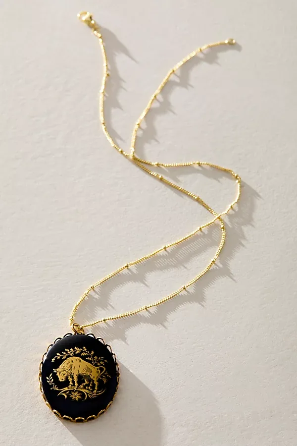 Jules Onyx Zodiac Necklace by Free People