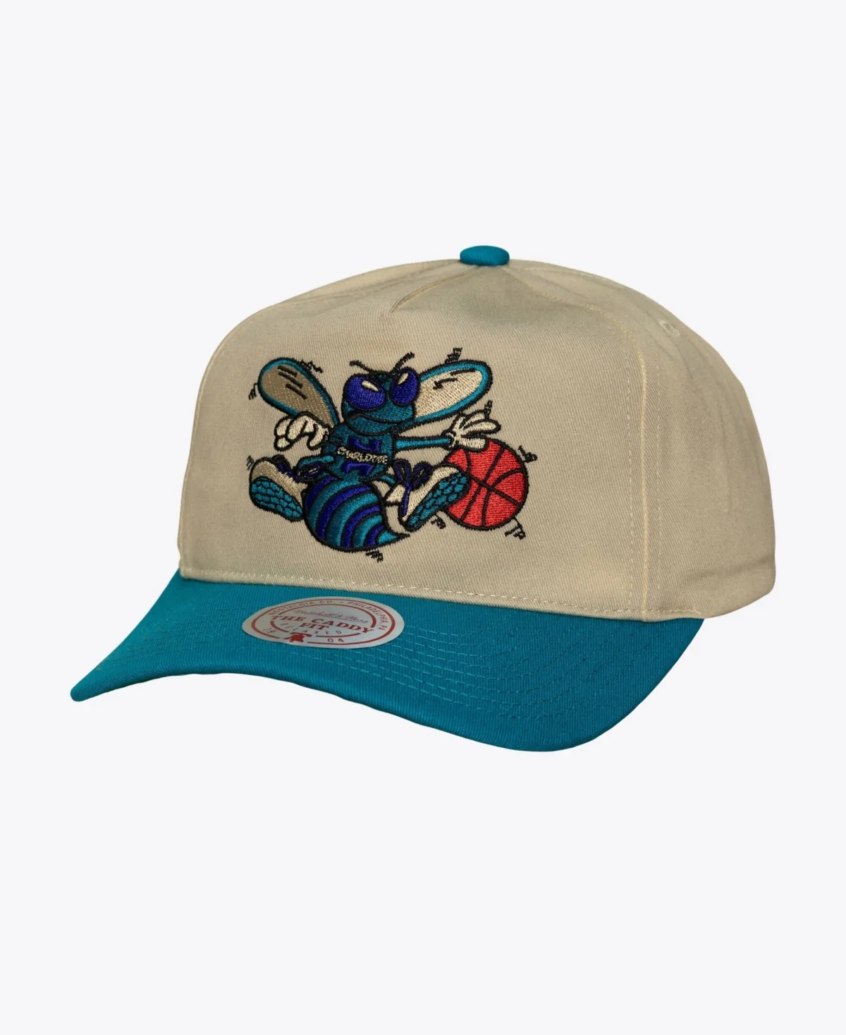 Charlotte Hornets Hardwood Classics Retro Roots Snapback Hat