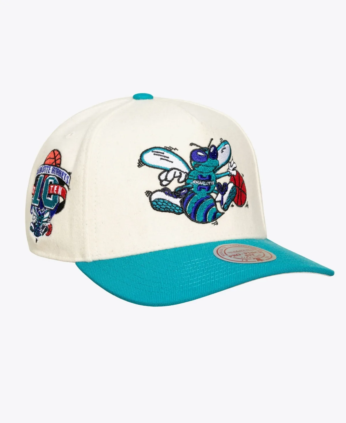 Charlotte Hornets Team Pro Adjustable Hat