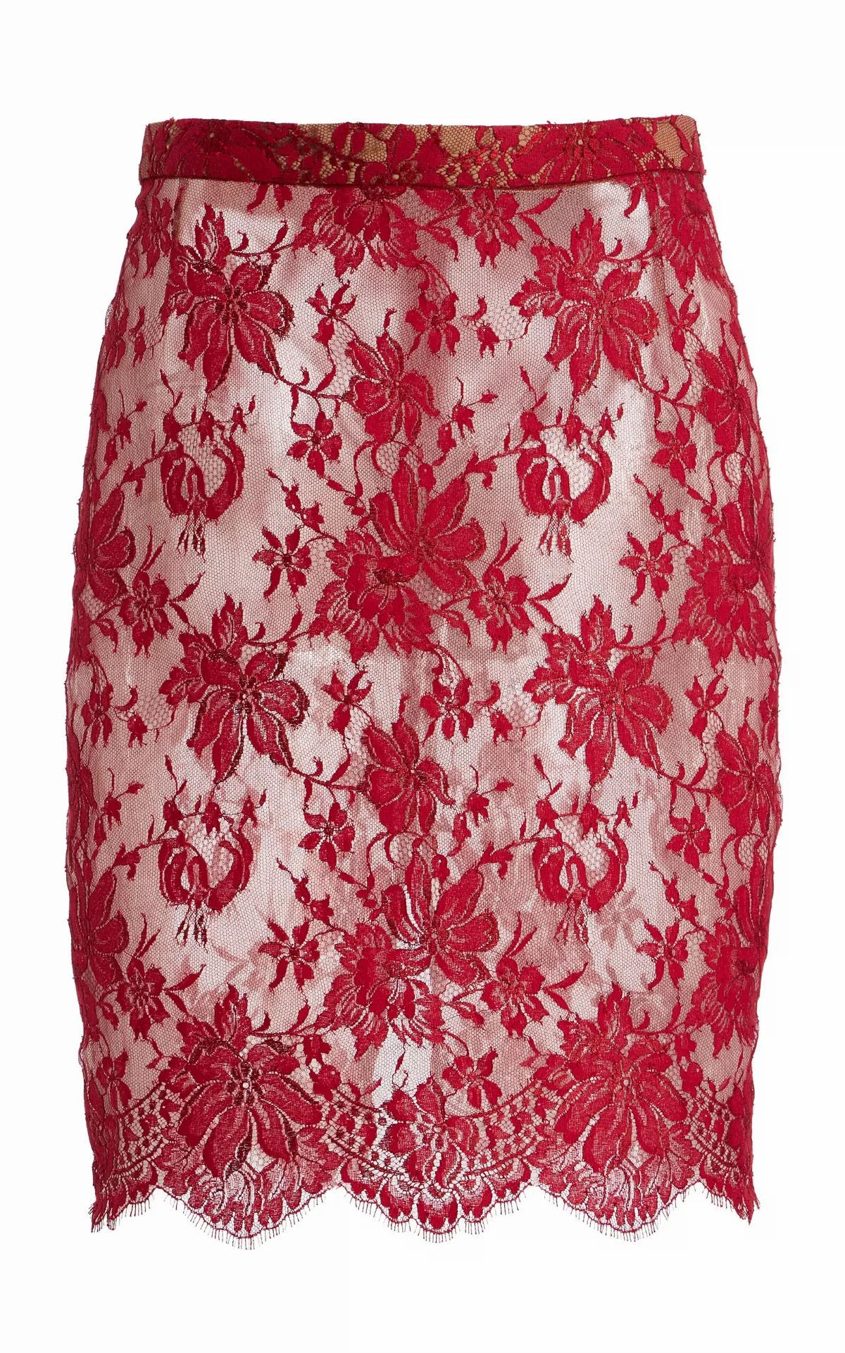 Paulina Lace Midi Skirt by Franoise