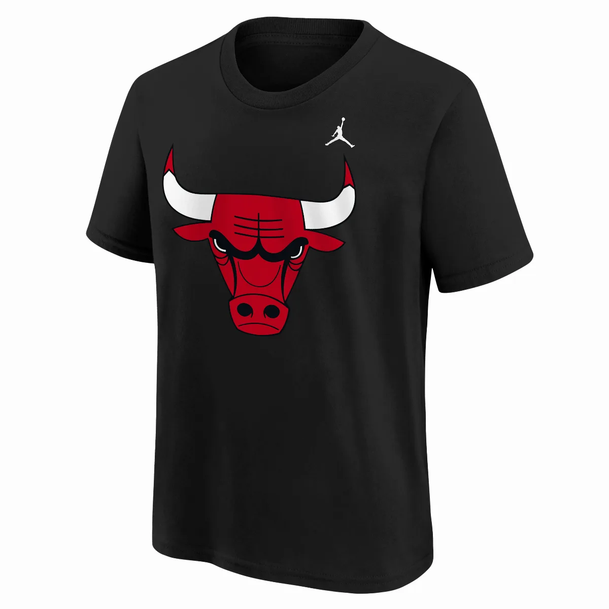 Chicago Bulls Statement Essentials Jordan NBA T-Shirt by Nike