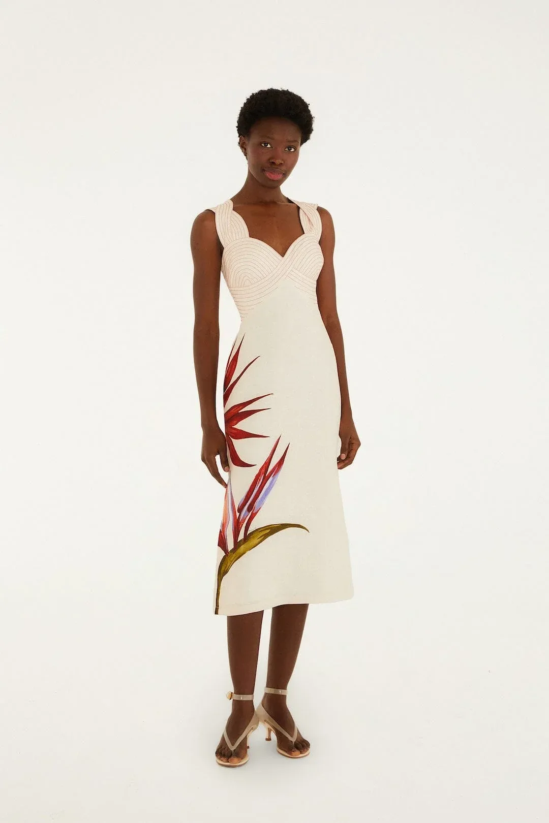 Strelitzia Midi Dress