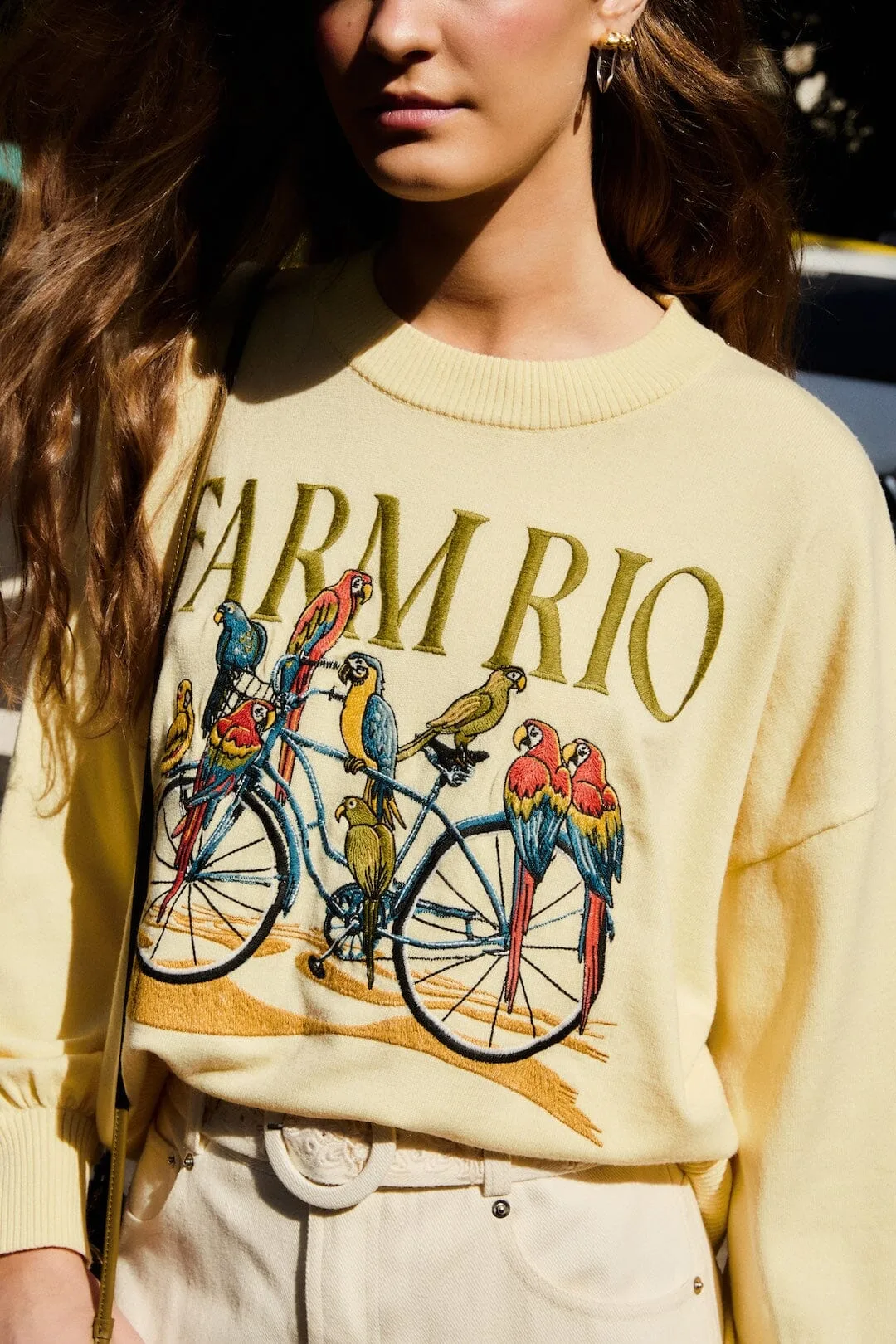 Birds Bicycle Embroidered Sweater by FARM Rio
