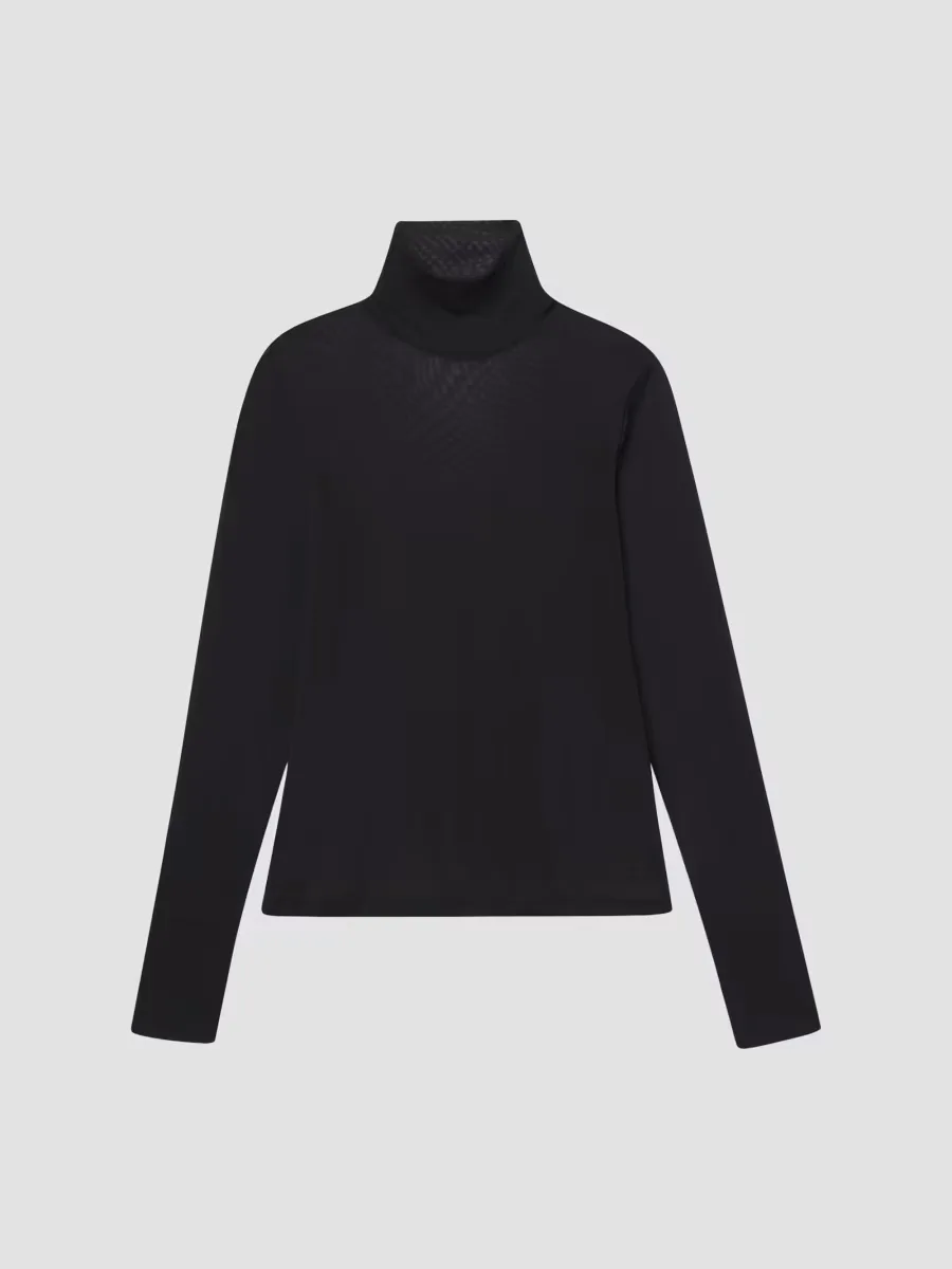 The Sheer Turtleneck Top