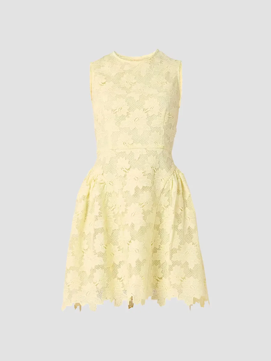 Fleur Lace Sleeveless Minidress